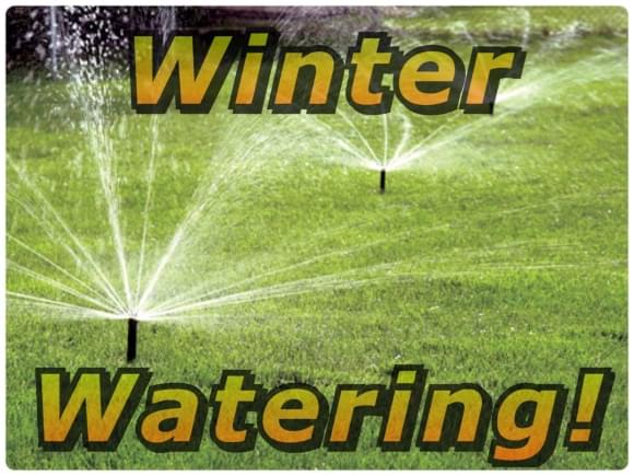 winter watering