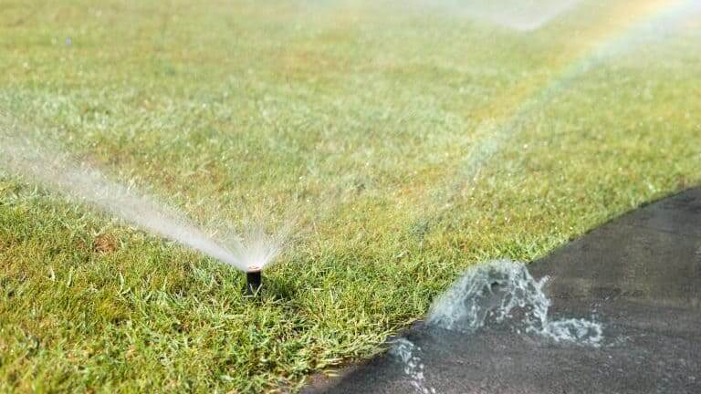 Sprinkler leak
