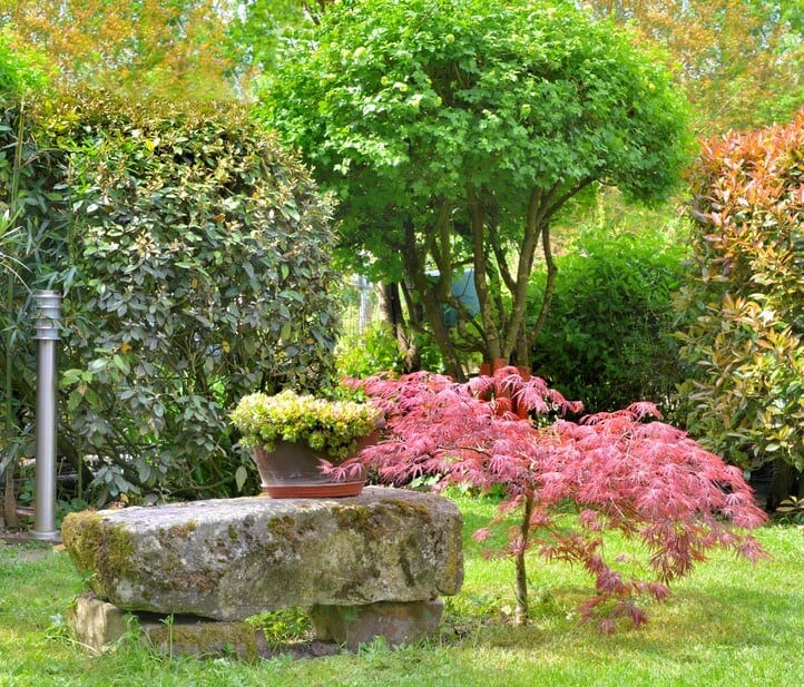 Tree Bubblers When to Cap Them Smart Earth Sprinklers Austin