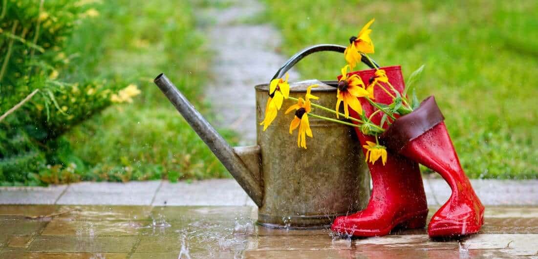 Sprinkler System Rain Sensors Smart Earth Sprinklers Austin