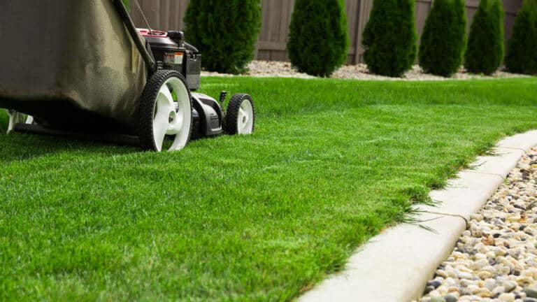 Mowing for Your Lawn Type