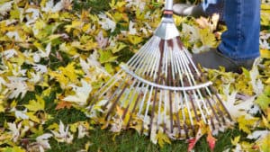 Fall Lawn Care Raking Leaves