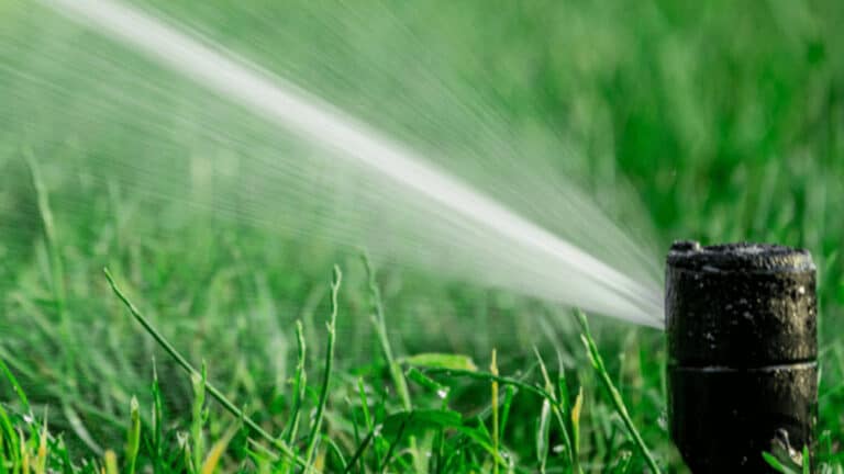 5 Different Types Of Sprinkler and Irrigation Systems Explained
