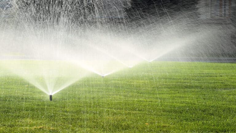 Promoting Efficient Watering Practices in Austin