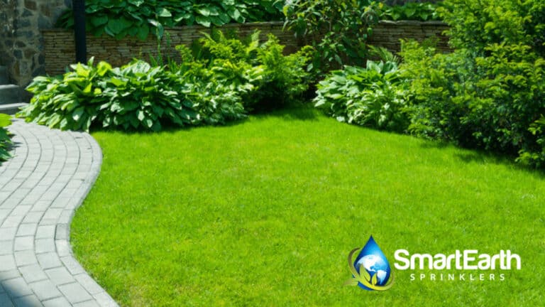 How to Keep Your Austin Lawn Lively and Thriving