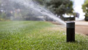 Signs You Need Your Sprinkler Repaired and Maintained
