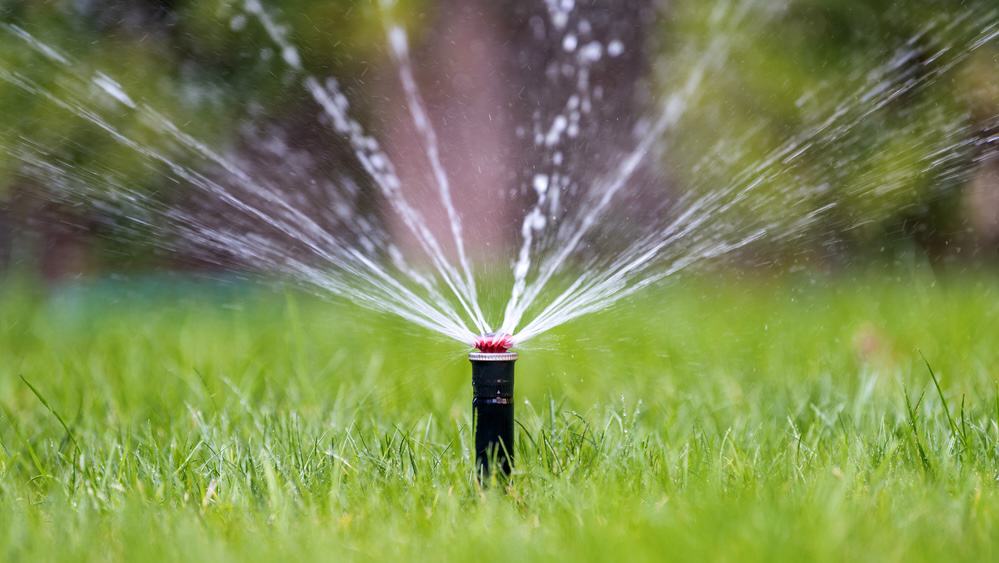 Sprinkler in action watering grass