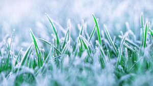 Winter Freeze Prep: Protect Your Sprinkler System