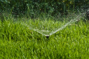 4 Ways to Optimize Winter Irrigation