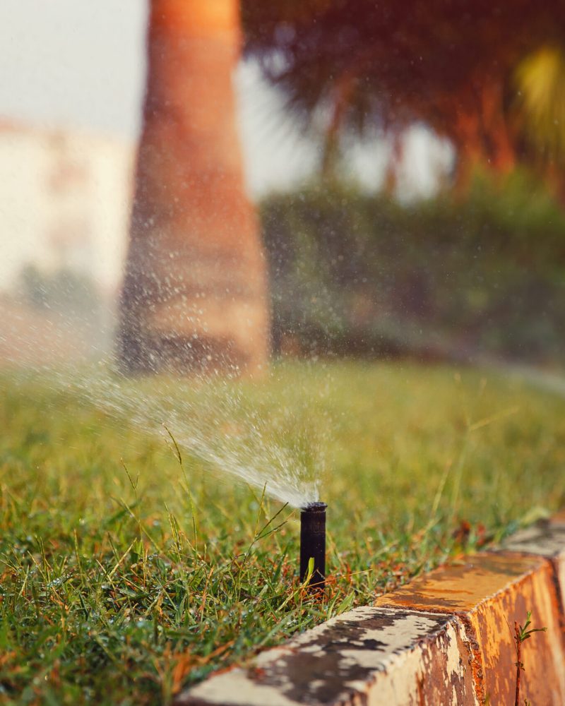 Fall Sprinkler System Tips